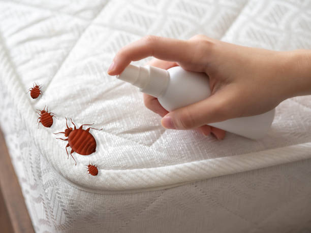 Best Cockroach Control Services  in Sutter, CA