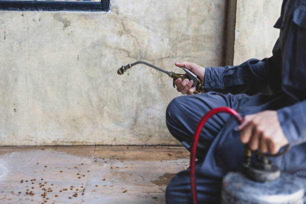 Best Termite Control Services  in Sutter, CA